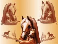 Un montage tendresse