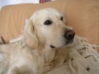 Mon coco adoré