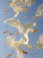 Plumas y Perlas