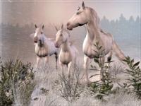 Chevaux dans le blizzard