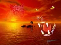 Tigre1