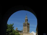 Seville : Giralda