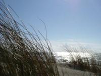 Soleil couchant Cap Ferret