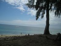 Plage de la Réunion