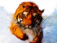 Fractale Tigre