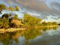 Les Tipaniers à Moorea
