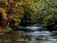 Rivière en automne