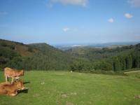 Col d'Ibardin