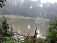 Landes : Lac d'Agès