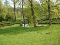 Vert printemps