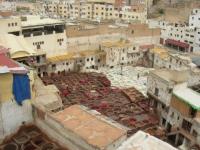 Tanneries de Fès