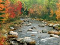 Cours d'eau - 60