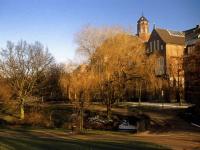 Paysage d'automne