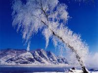 Beau,mais froid...