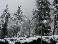 Que de neige