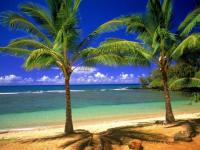 Temps de rêve pour la plage