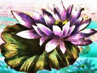 Aquarelle nénuphar