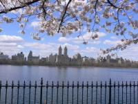 Printemps à New york