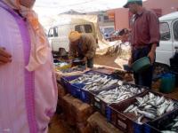 Le souk poissonier