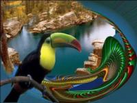 Toucan sur fond imaginaire