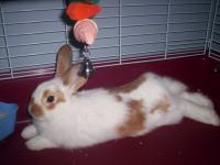 La sieste de Zoé
