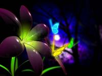 Mariposas
