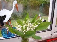 Mon muguet du jardin