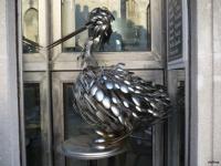 Un oiseau rare