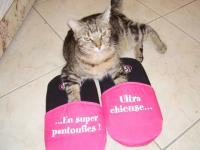 Chanel : Ultra chieuse...