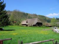 Ecomusee Foret Noire