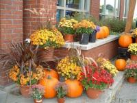 Citrouilles et fieurs
