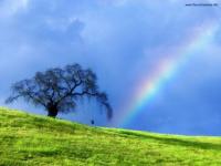 Arco iris