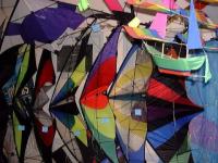 Cerf-volant