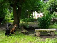 Jardin et pepettes