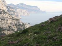 Calanques morgiou