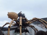 Kumo araignée géante Nantes