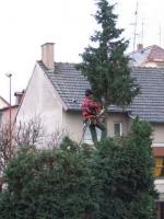 Coupeur de tête