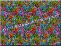 Les couleurs du printemps