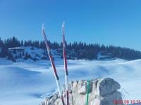 Les skis sont prêts