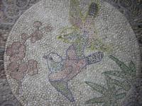 Paradisio : les piocs