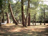Près d'Andernos