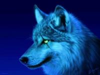 Vision de nuit