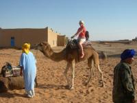 Balade en dromadaire