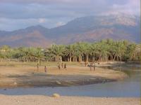 Socotra 2