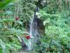 Tahiti : Cascade