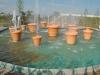 Fleurs d'eau