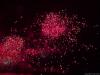 Plein feux sur 2004 : n°1