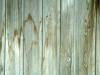 Planches