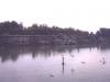 Bassin de Neptune