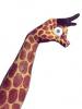 Jeu de mains : Girafe